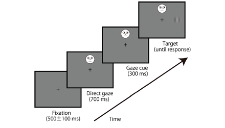 그림 2. 실험절차, 얼굴자극은 화면 중앙 세로축에 해당하는 위치의 총 7군데 중 한 군데에서 제시된다. 목표자극은 고정점의 좌,우 위치 중 한 군데에 제시된다.